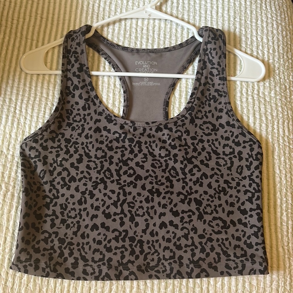 Evolution and Creation Size M